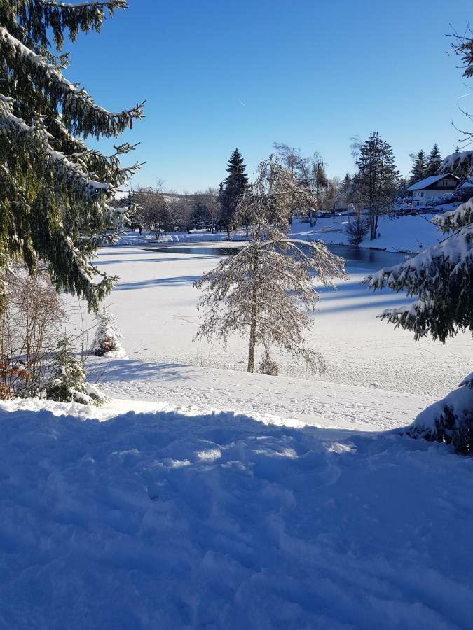 Jules Traum Im Schwarzwald Apartment Herrischried Bagian luar foto