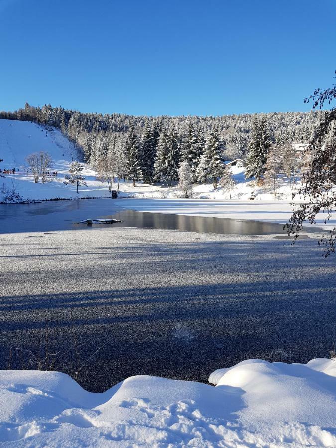 Jules Traum Im Schwarzwald Apartment Herrischried Bagian luar foto