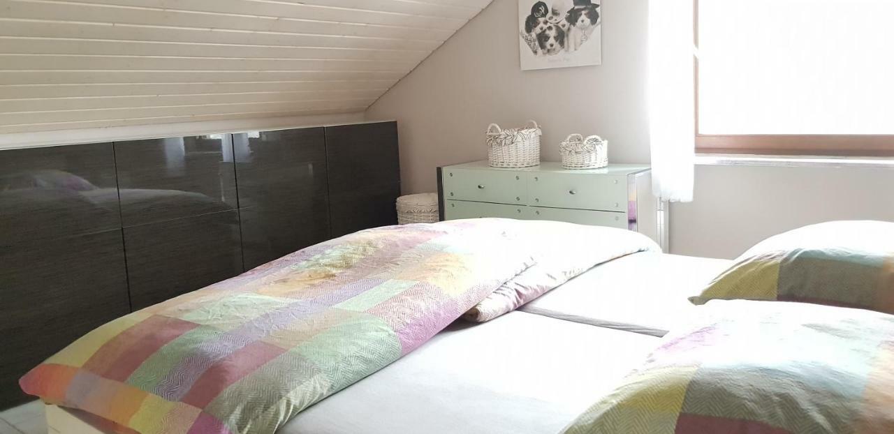 Jules Traum Im Schwarzwald Apartment Herrischried Bagian luar foto