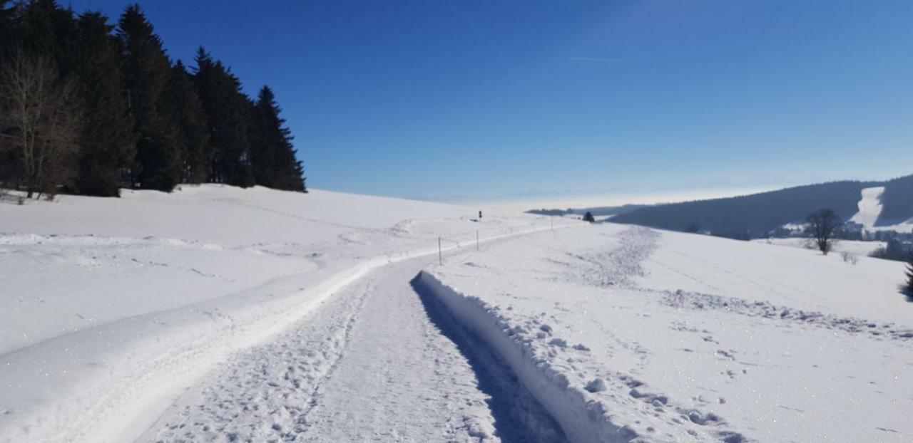 Jules Traum Im Schwarzwald Apartment Herrischried Bagian luar foto
