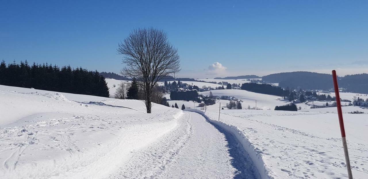 Jules Traum Im Schwarzwald Apartment Herrischried Bagian luar foto